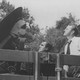 photo du film Les Soucoupes volantes attaquent
