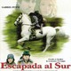 photo du film Le cheval venu de la mer