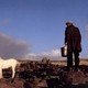 photo du film Le cheval venu de la mer