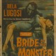 photo du film La fiancée du monstre