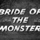 photo du film La fiancée du monstre
