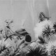photo du film Fétiche prestidigitateur