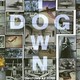 photo du film Dogtown and Z-Boys