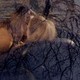photo du film Je suis une nymphomane