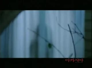Un extrait du film  Acacia