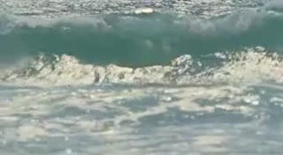 Extrait vidéo du film  Lost things