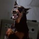 photo du film Resident Evil : Apocalypse