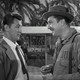 photo du film Fini de rire