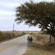 photo du film Gilbert Grape