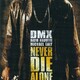 photo du film Never die alone