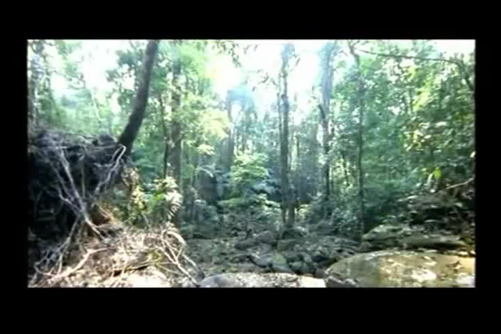 Extrait vidéo du film  Blissfully Yours