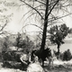 photo du film The Virginian