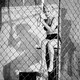 photo du film L'Homme à l'affût