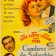 photo du film La Dynastie des Forsyte