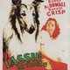 photo du film La Fidèle Lassie