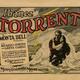 photo du film Le Torrent