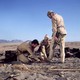 photo du film Enfants de salauds