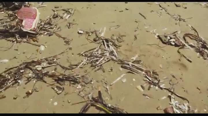 Extrait vidéo du film  Indignados