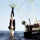 photo du film Orca