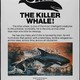 photo du film Orca