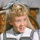 photo du film Pollyanna