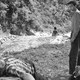 photo du film Le Lâche