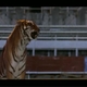 photo du film Double team