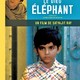 photo du film Le Dieu éléphant
