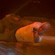 photo du film Die Hard : belle journée pour mourir