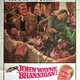 photo du film Brannigan