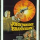 photo du film Brannigan
