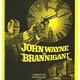 photo du film Brannigan