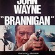 photo du film Brannigan