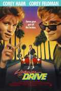 License to drive