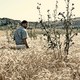 photo du film Le Grain et l'ivraie