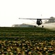 photo du film Le Grain et l'ivraie