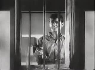 Un extrait du film  The Cry Baby Killer