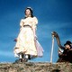 photo du film La Renarde