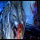 photo du film Dog soldiers
