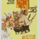 photo du film Les Brutes dans la ville