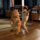 photo du film Garfield le film