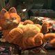 photo du film Garfield le film