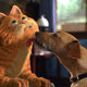 photo du film Garfield le film