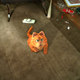 photo du film Garfield le film