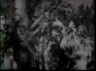 Extrait vidéo du film  Bloodlust
