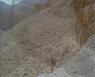 Extrait vidéo du film  La Malédiction de la Vallée des Rois
