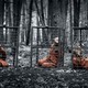 photo du film Territoires