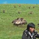 photo du film Le Rappel des oiseaux
