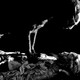 photo du film Les Garçons sauvages