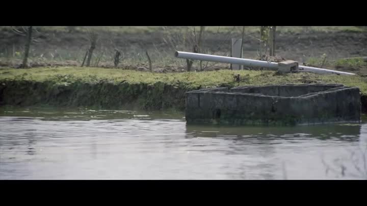 Un extrait du film  Un homme intègre